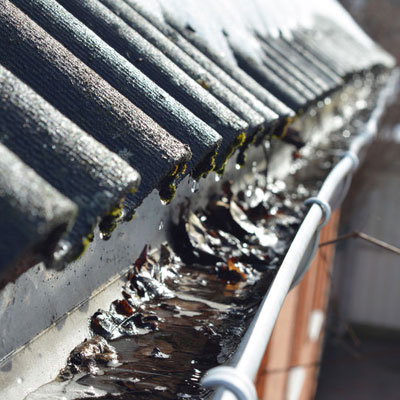 Close-up of a gutter filled with dead leaves and debris beneath a sloped, tiled roof. The gutter appears blocked and needs cleaning.